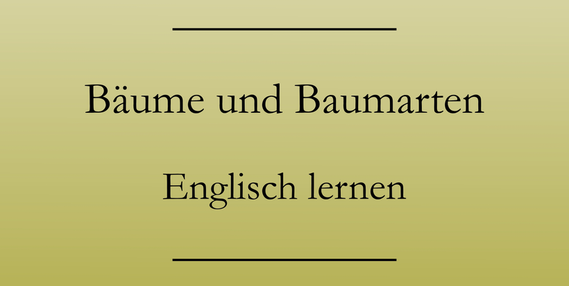 Englisch lernen: Bäume, Baumteile, Baumarten auf Englisch. Ast, Zweig, Rinde