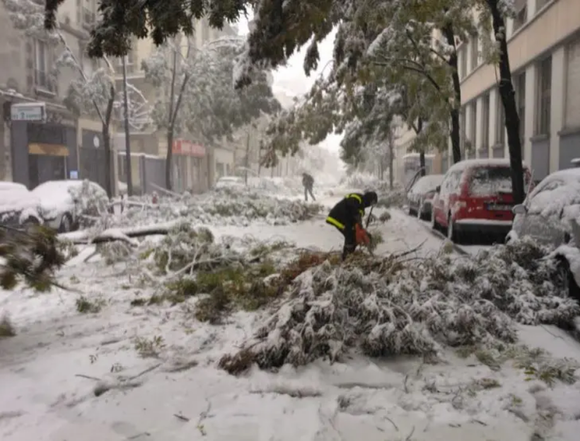 Chutes de branches d'arbre dans les rues de Grenoble