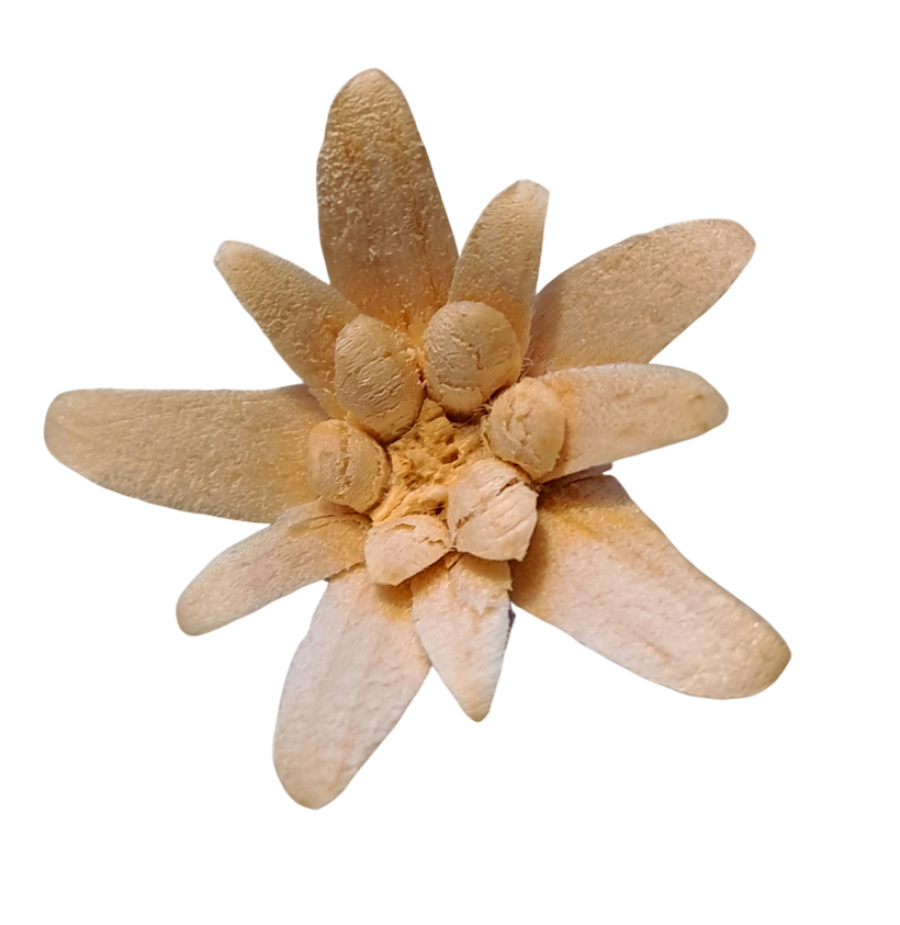 Edelweiss aus Holz geschnitzt