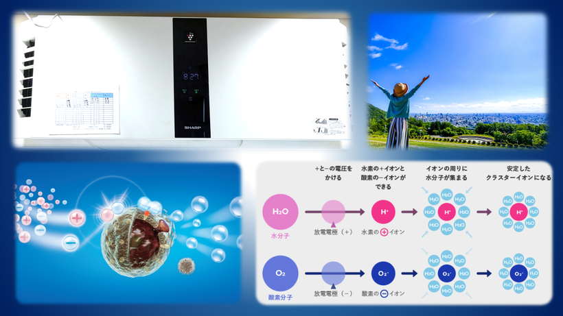 プラズマクラスター装置は5台設置、院内の空気を24時間清浄化します。