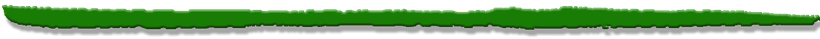 Abbauhammer Hydraulikhammer Greifer Universalgreifer Abbruchgreifer Aufreisszahn Reisszahn Anbauverdichter Sieblöffel Sortierlöffel Abbruchzange Betonbeisser Felsfräse Erdbohrer Seilwinde externe Seilwinde Geländeketten Powertilt Alquick Hüppi quits  voll