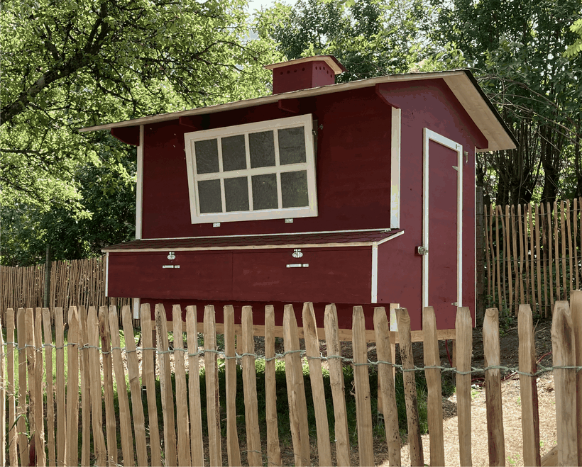 Hühnerstall, Hühner, Amrock, Ramelsloher, Sundheimer, Welsumer, Sulmtaler Hühner, Sussex,Wyandotten.