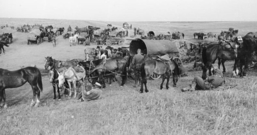 FRONT - Militärgeschichte - Während der deutschen Sommeroffensive in Südrussland, Juli 1942