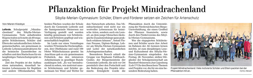 Aller Zeitung 25.11.2025