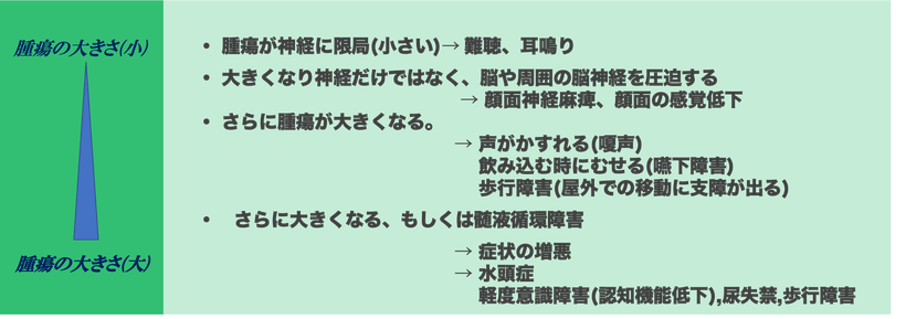 聴神経腫瘍では、どの様な症状が認められるのか？（詳しく）