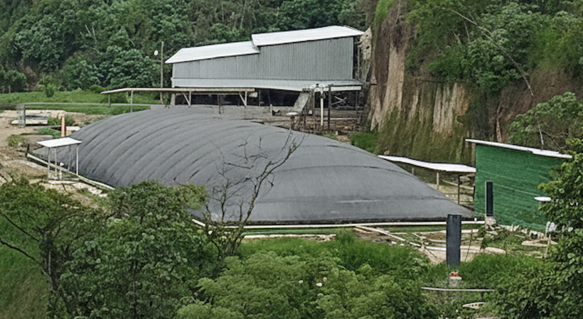 digester biogas Poultry Litter - Chicken manure