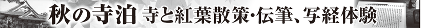 秋の寺泊　寺と紅葉散策・伝筆、写経体験