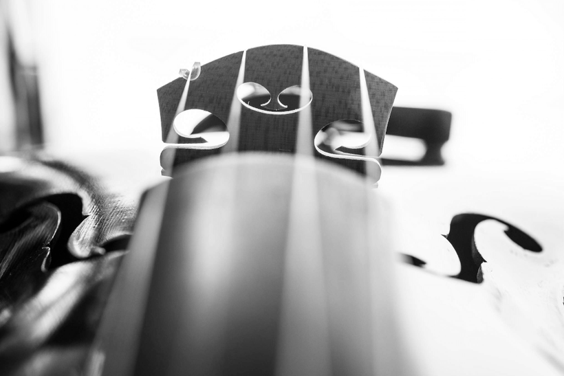 high arched viola