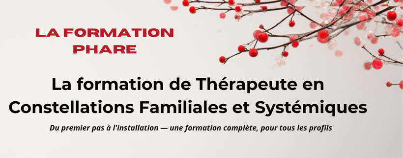 la formation de thérapeute en constellations familiales et systémiques