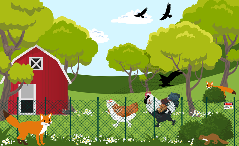 Vektorgrafik Lachshühner im Garten mit Füchsen, Marder und Greifvögeln
