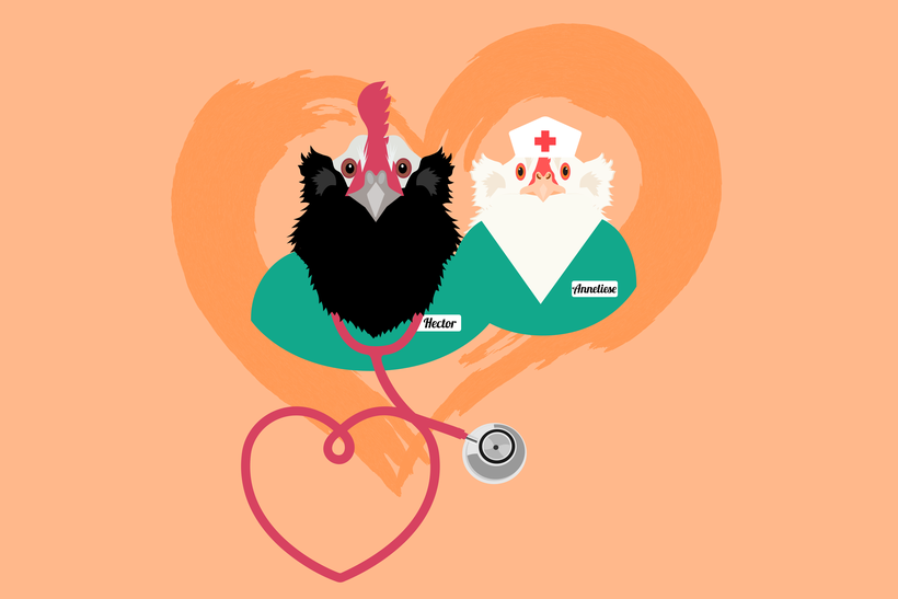 Vektorgrafik Dr. Hahn und Krankenschwester Henne