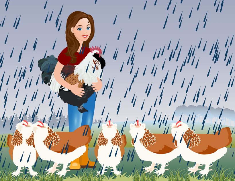 Vektorgrafik Lachshühner im Regen