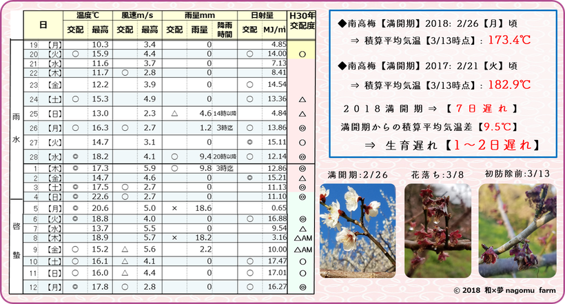 戌年の梅【2018年作柄検証】　和×夢 nagomu farm