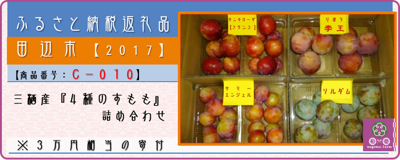 4種のすもも詰め合わせ ふるさと納税返礼品 田辺市 和 夢 Nagomu Farm 4種のすもも詰め合わせ ふるさと納税返礼品 田辺市 和 夢 Nagomu Farm