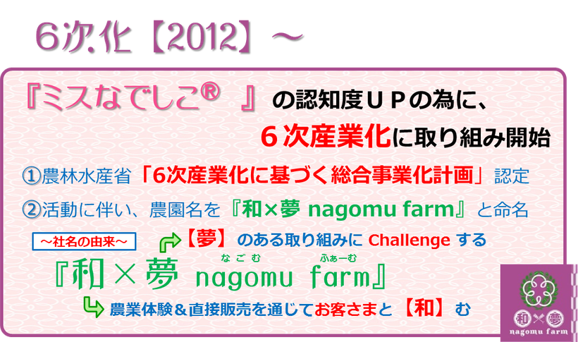 『ミスなでしこⓇ』生誕１０周年　【Y】ume記録　６次化【2012】～