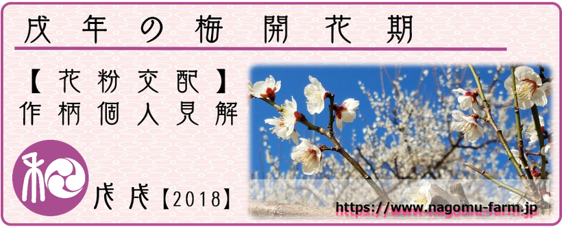 戌年の梅【2018】 梅開花期 花粉交配度【個人見解】 和×夢 nagomu farm