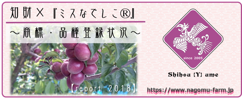 知的財産【商標登録／品種登録】×  紫宝梅『ミスなでしこⓇ』 2018状況 和×夢 nagomu farm