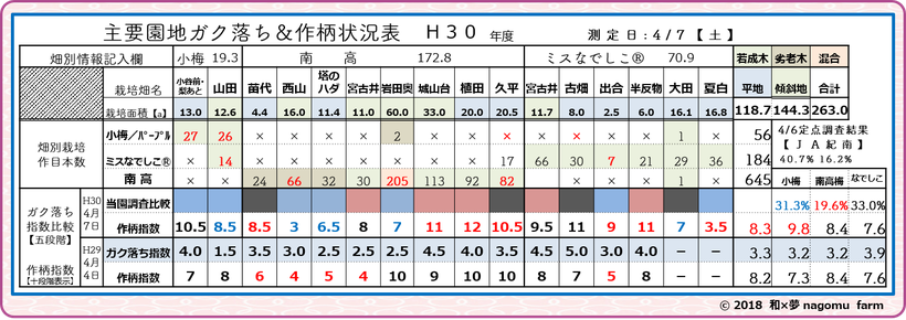 梅園地別ガク落ち＆作柄指標【2018清明】 和×夢 nagomu farm