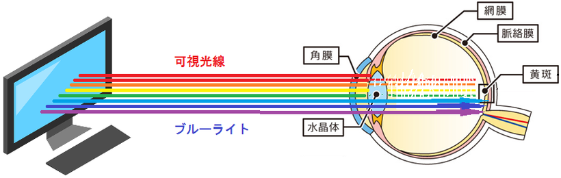 ブルーライトが、黄斑変性症を発症させる危険性があると指摘されています。