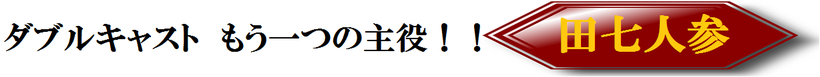 牡蠣エキスDXには、田七人参も入っています。