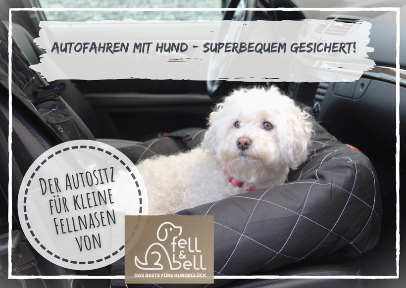 Bringt das was? Autofahren mit Hund –superbequem abgesichert mit dem Fell &  Bell Autositz für kleine Hunde - Der Blog für und über kleine Hunde - die  besten Tipps und Geschichten von