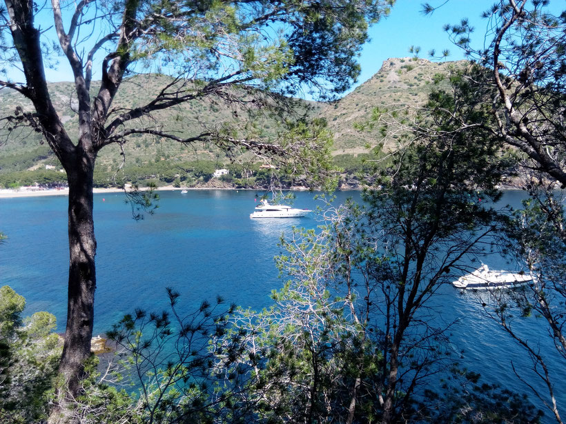 Bateaux, mer, pin, randonnée, plage, criques, plongée sousmarine