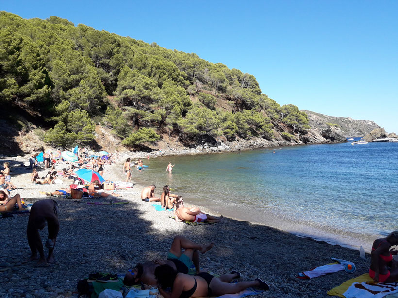 mer, plage, baigneurs, soleil, bronzage