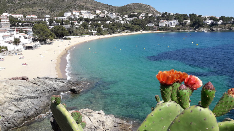 Criques, plage, sable fin, mer, sauvage, espagne, roses,