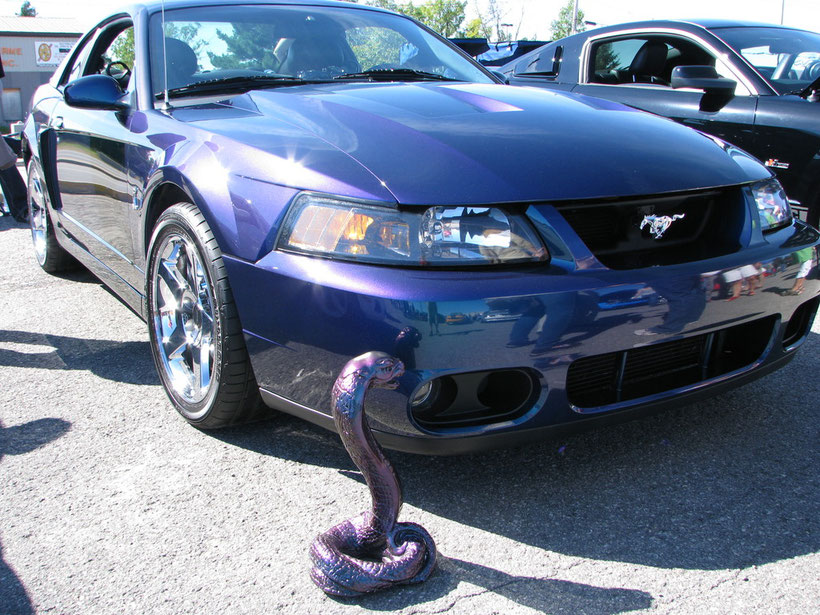 Mustang Cobra 2004 ¤