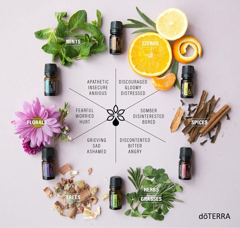 doTERRA Console Comforting Blend aromawelt