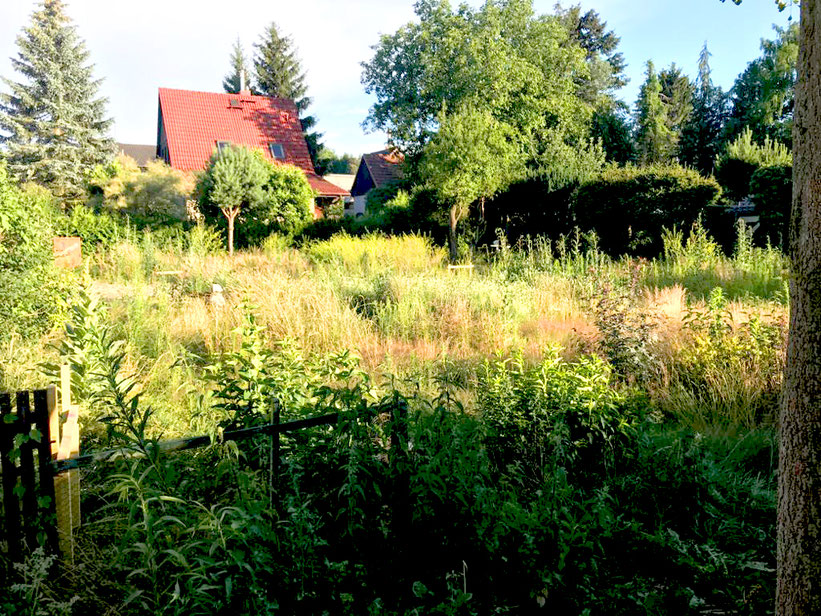 neues projekt für bauzeit berlin als qualitätssichernde bauherrenbegleitung