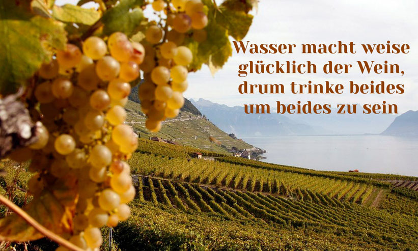 Wasser macht weise, glücklich der Wein, drum trinke beides um beides zu sein