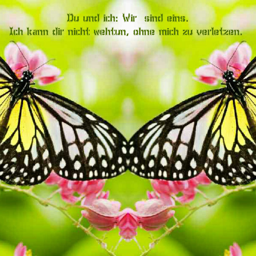 Du und ich: wir sind eins. Ich kann dir nicht wehtun, ohne mich zu verletzen