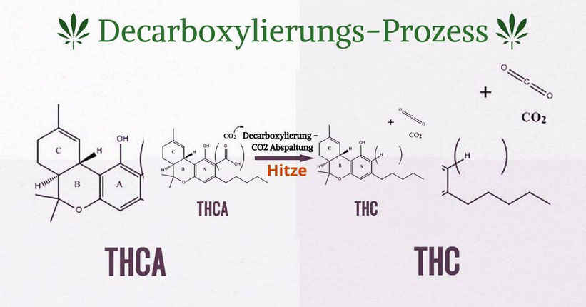 Decarboxylierungs-Prozess bei Cannabis