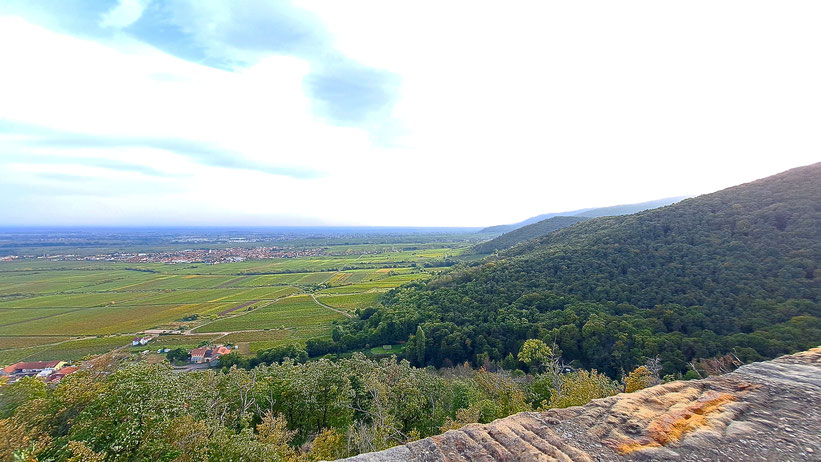 Aussicht vom Restaurant des Schlosses aus bei Weißburgunder und Flammkuchen