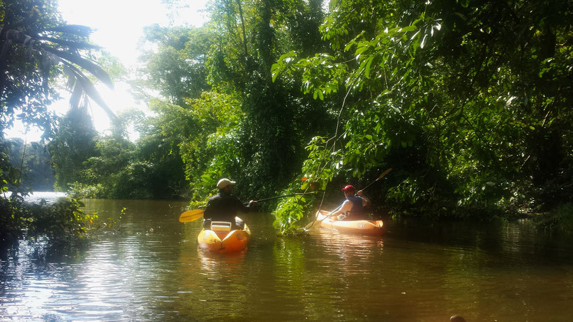 Kajaken durch den Tortuguero Nationalpark, Costa Rica