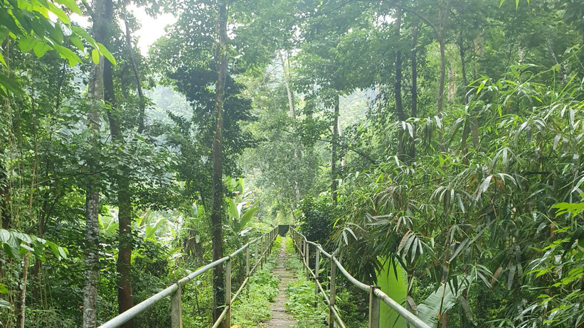 Obo Nationalpark, Neves, São Tomé und Príncipe