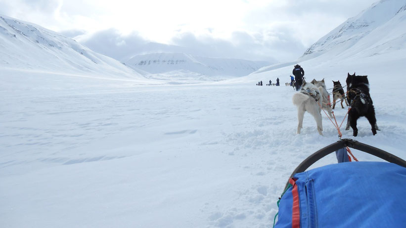 Fahrt mit dem Hundeschlitten auf Spitzbergen