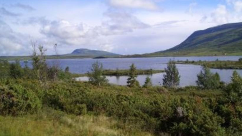 Syndin in Valdres, Norwegen