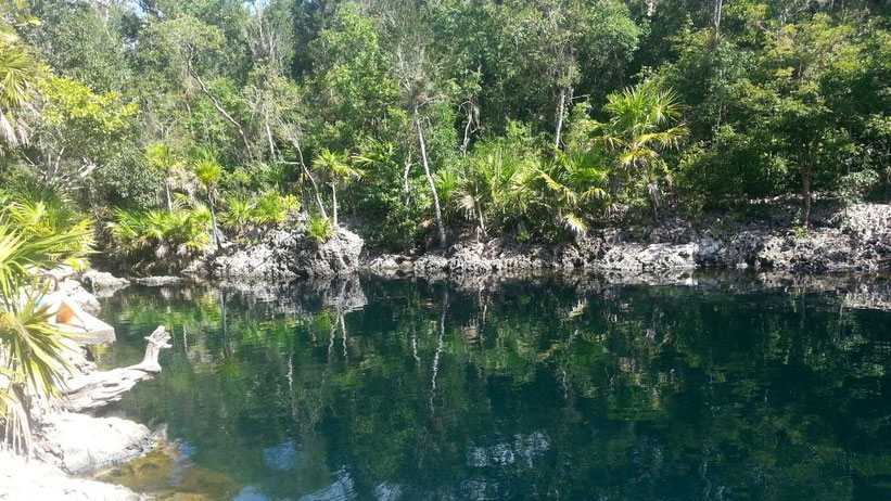 Cueva de los Peces, Kuba