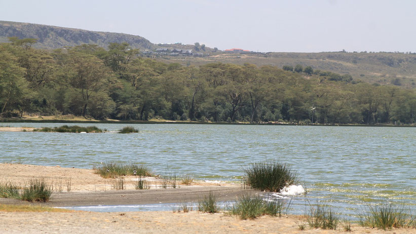 Elementaita-See (Lake Elementaita), Kenia