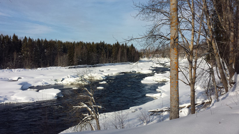 Mårdseleforsen Naturreservat, Schweden