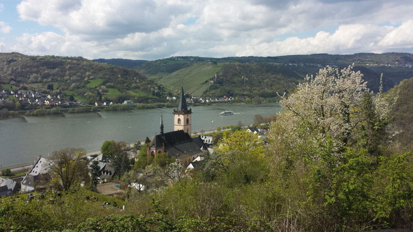 Burgenrundfahrt im Rheingau, Hessen / Rheinland-Pfalz