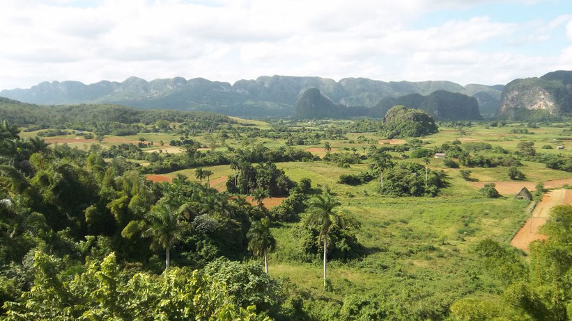 Führung über die Tabak-Felder im Valle de Viñales, Kuba