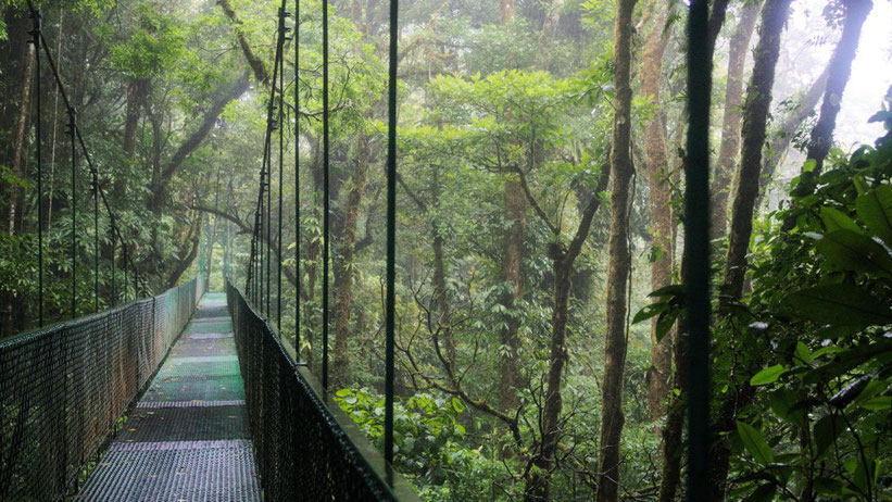 Hängebrücken-Park Selvatura, Costa Rica