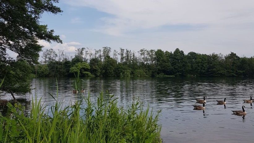 Großkrotzenburger See, Hessen/Bayern