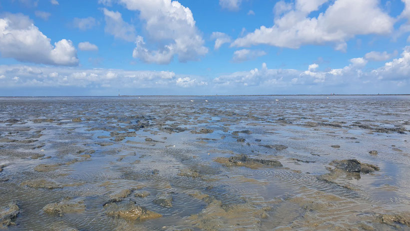 Wattwanderung in der Nordsee, Niedersachsen