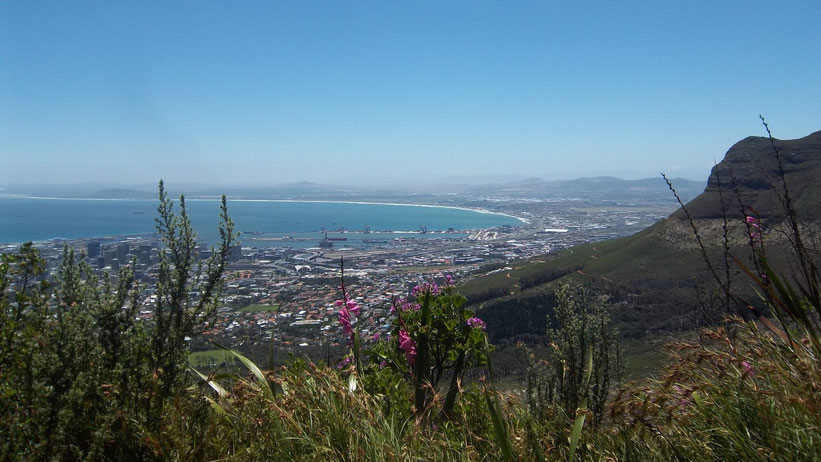 Tafelberg, Kapstadt, Südafrika