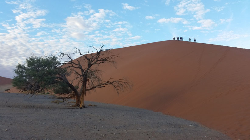 Dünen-Tour durch das Sossusvlei, Namibia