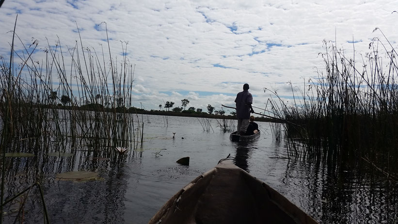 Okavangodelta, Botswana